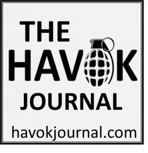 2020 in Review - Havok Journal